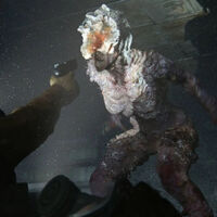 La serie de The Last of Us de HBO desvela un nuevo cambio respecto a los videojuegos, y tiene que ver con la manera en la que se propaga la infección
 